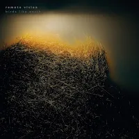 Remote Vision — Viridian Sky — обложка